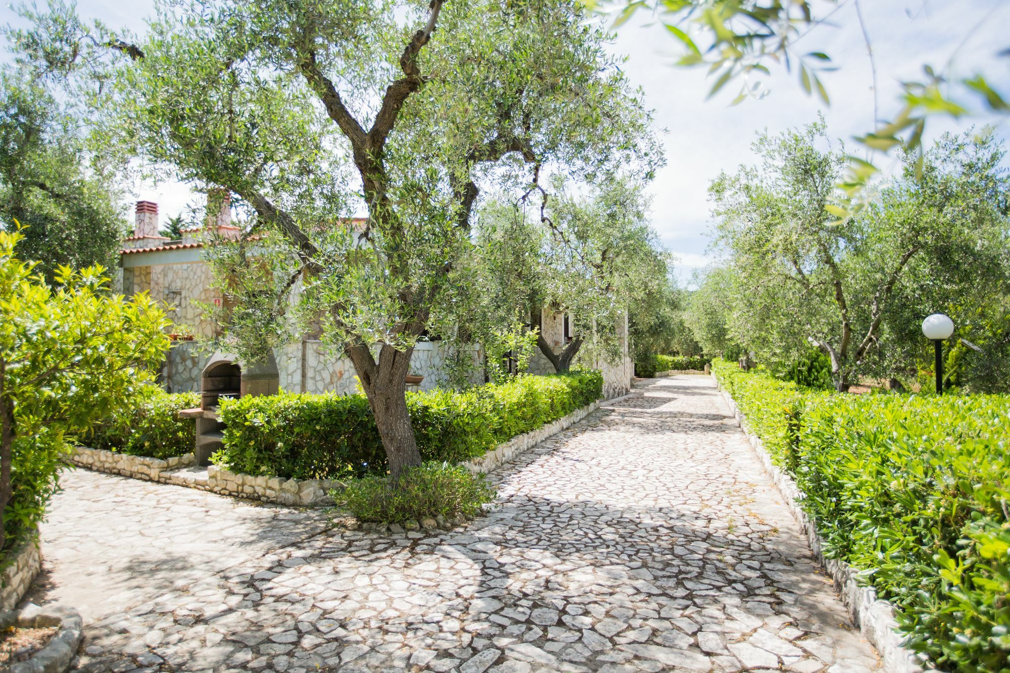 Tenuta Padre Pio
